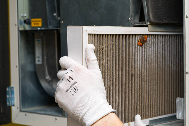 Best HVAC Air Duct Cleaning  in Minot, ND