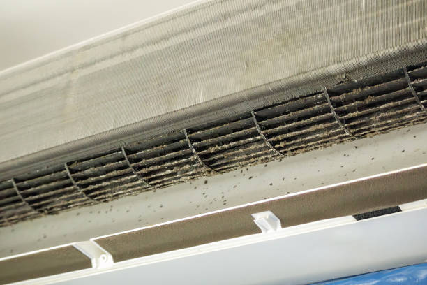 Best Local Air Duct Cleaning Services  in Minot, ND